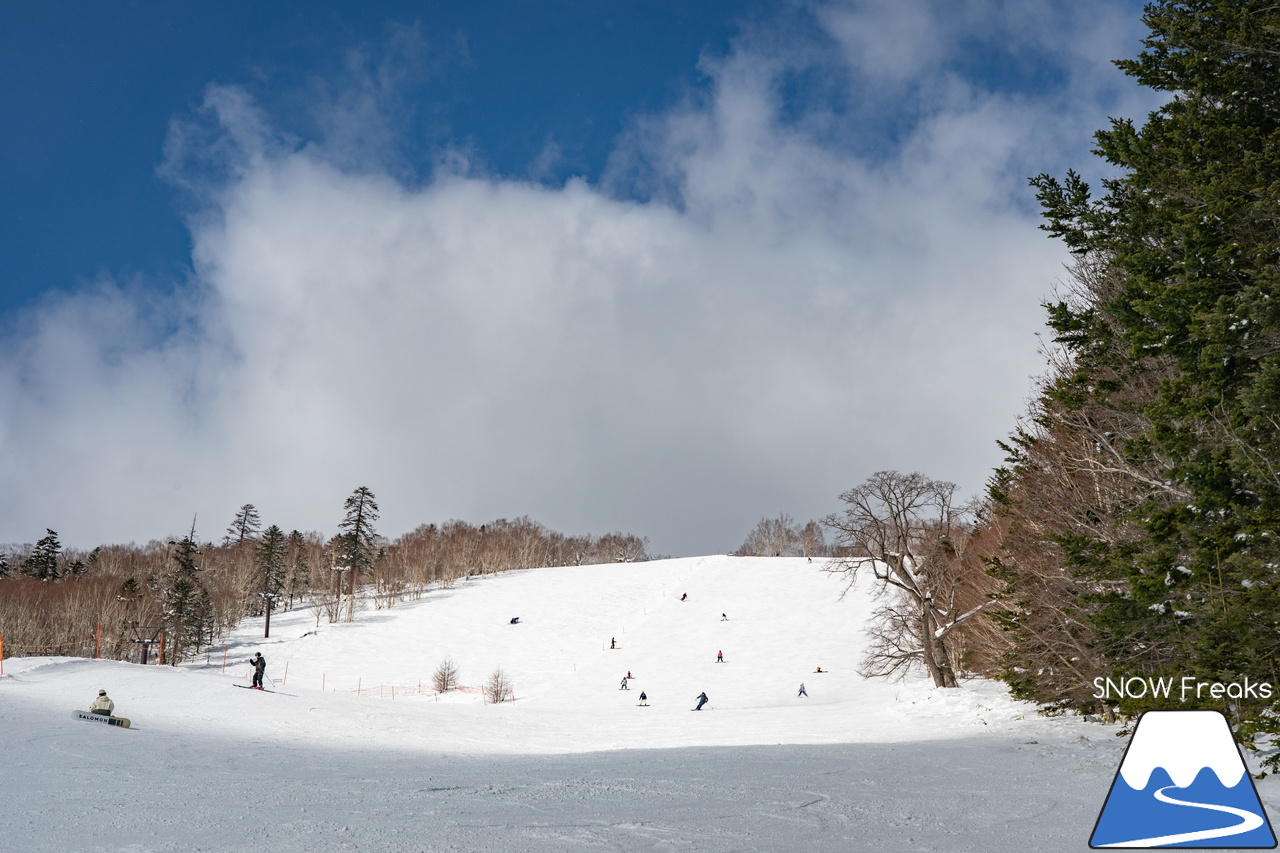 星野リゾート　トマム｜まだまだ積雪たっぷり！ゲレンデも、スロープスタイルパークも、アドベンチャーマウンテンも。。。春シーズンも楽しみ満載の『星野リゾート　トマム』です(^^)/